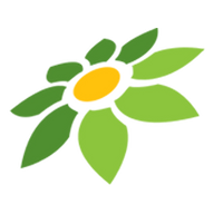 TOKO TOKOPEDIA